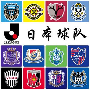 日本职业联赛：樱川松本山雅盛冈冈山的简单介绍