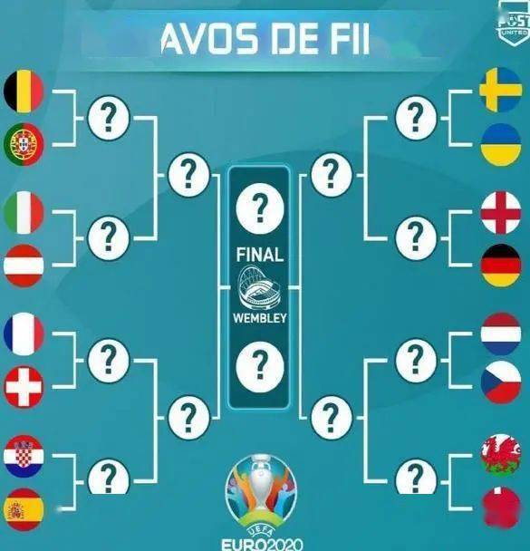 奥地利主场击败俄罗斯，跻身八强的简单介绍