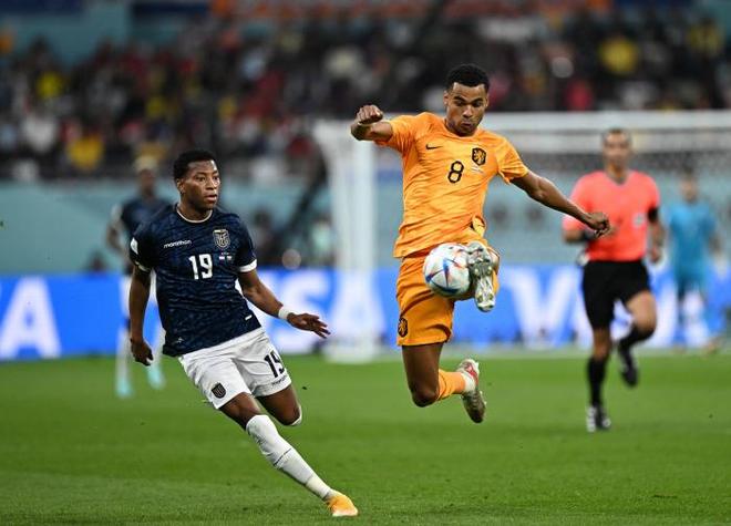 爱游戏大厅-荷兰主场不敌波黑，小组排名略有下滑