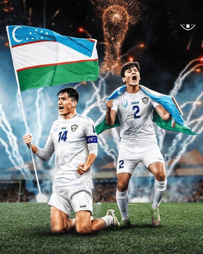 爱游戏APP-芬兰壮哉铩风，创造历史性突破晋级下一轮的简单介绍