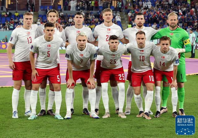 法国队险胜丹麦队，马琳统治全场